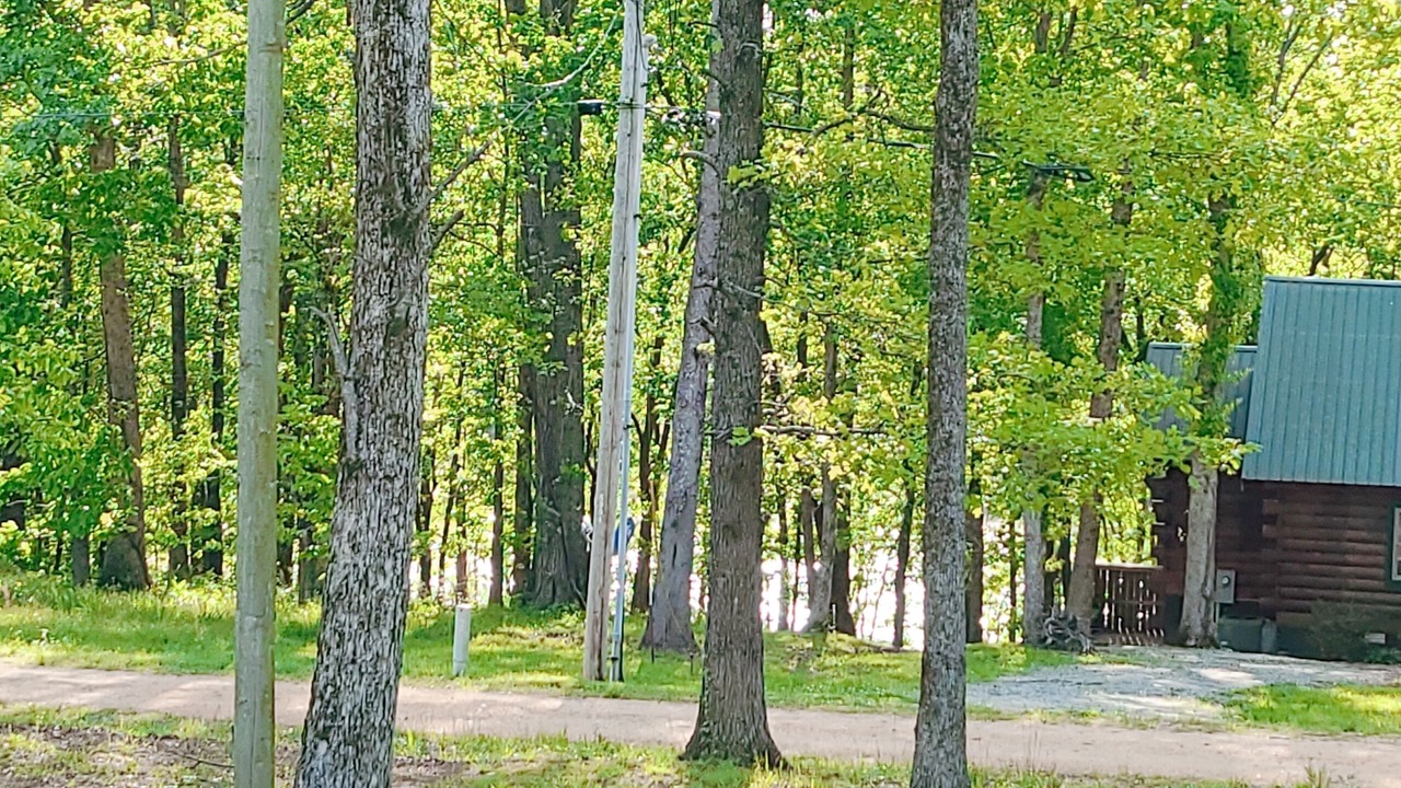 Photo of Outdoor in Olivehill