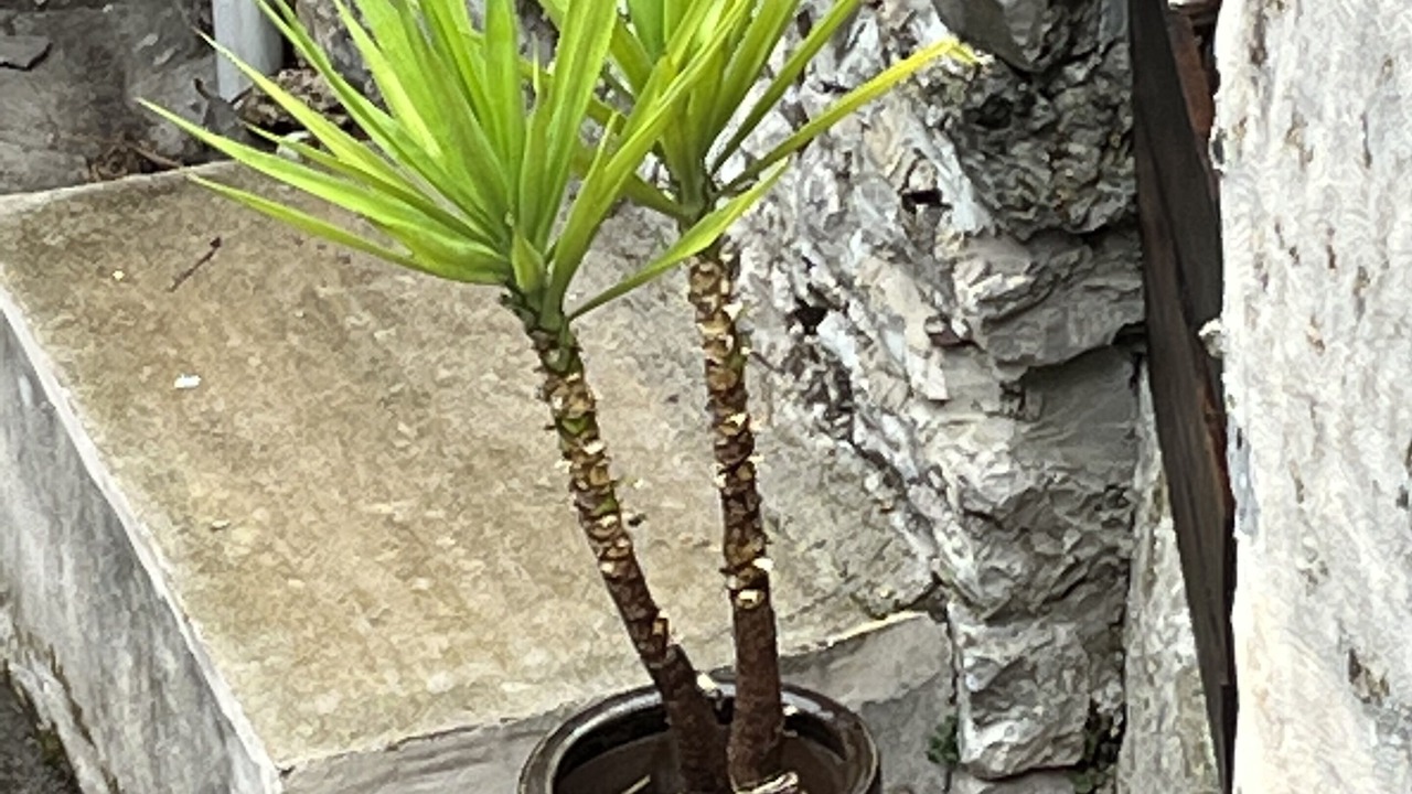Photo of Outdoor in Saint-Martin-de-Londres