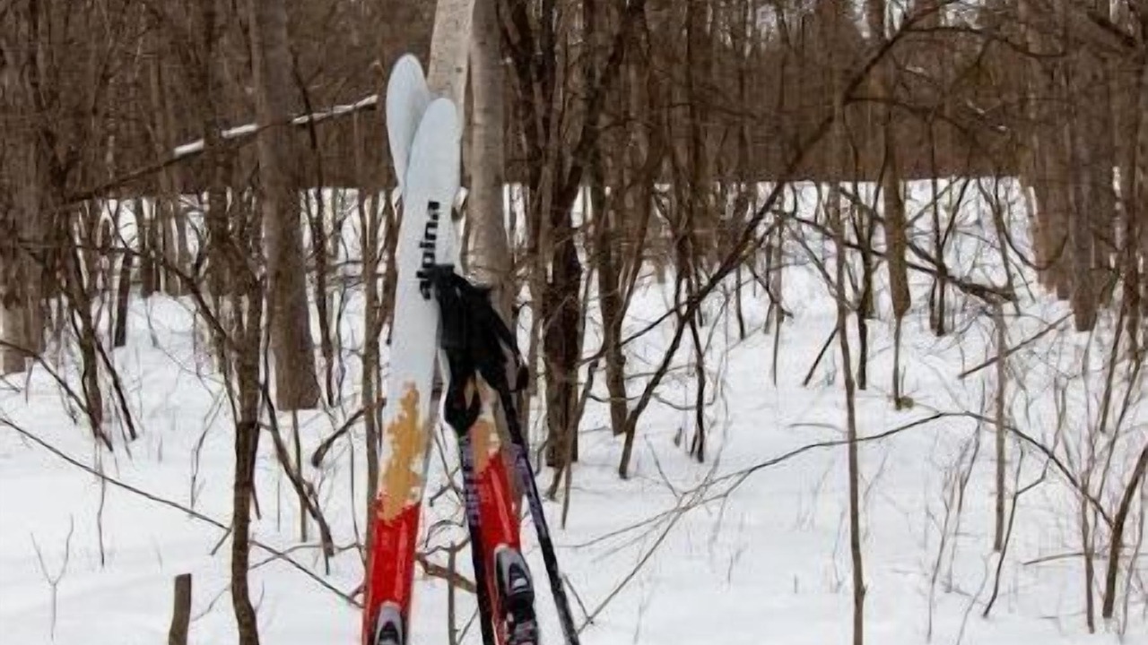 Photo of Others in Norfolk