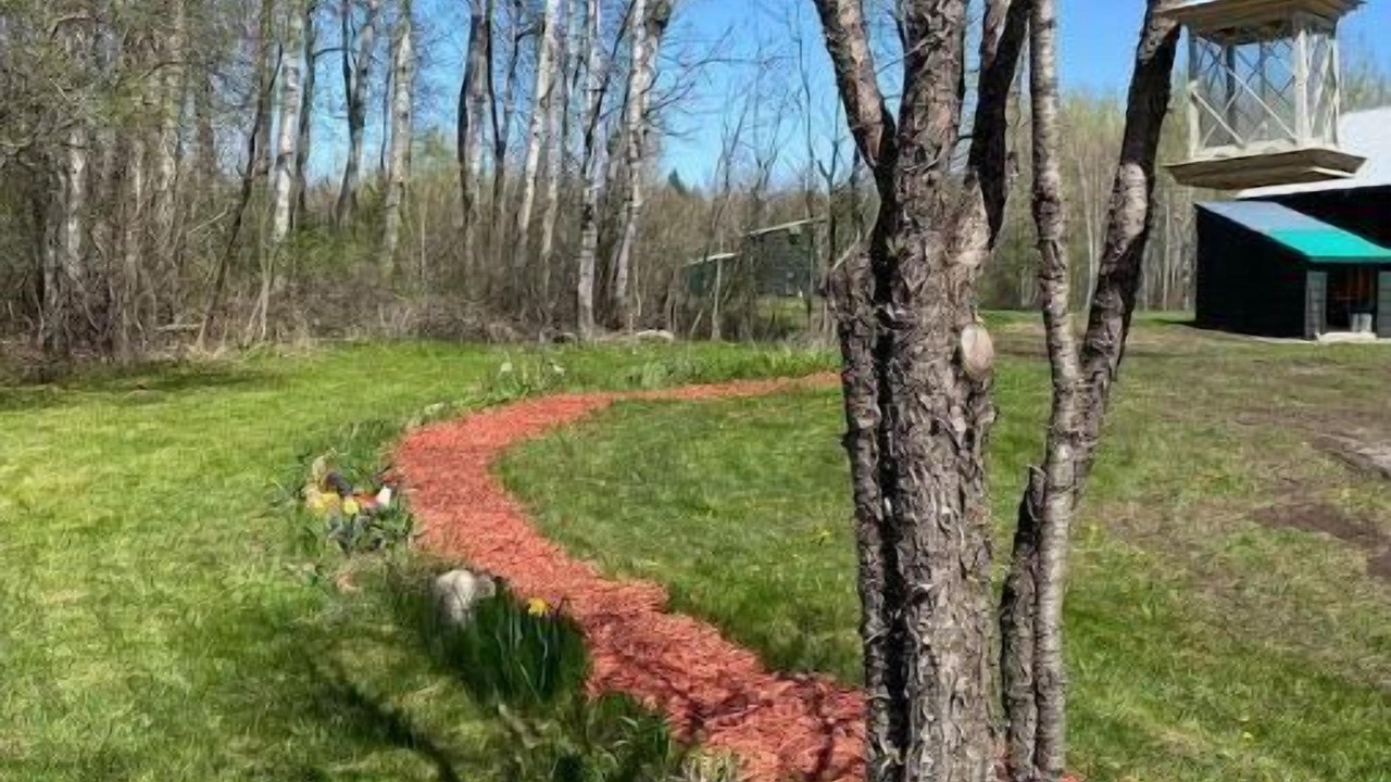 Photo of Outdoor in Norfolk