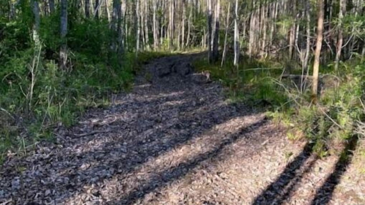 Photo of Others in Norfolk