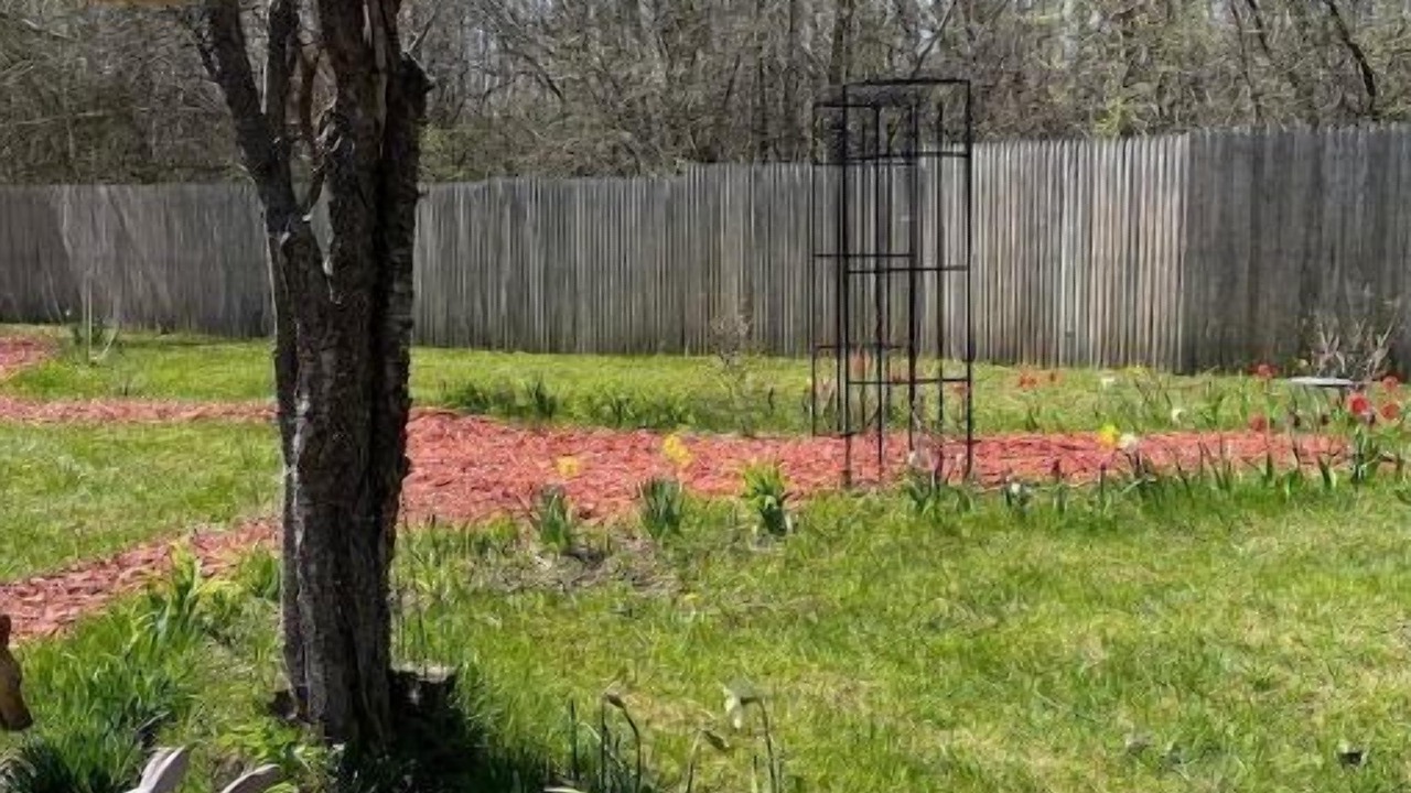 Photo of Outdoor in Norfolk