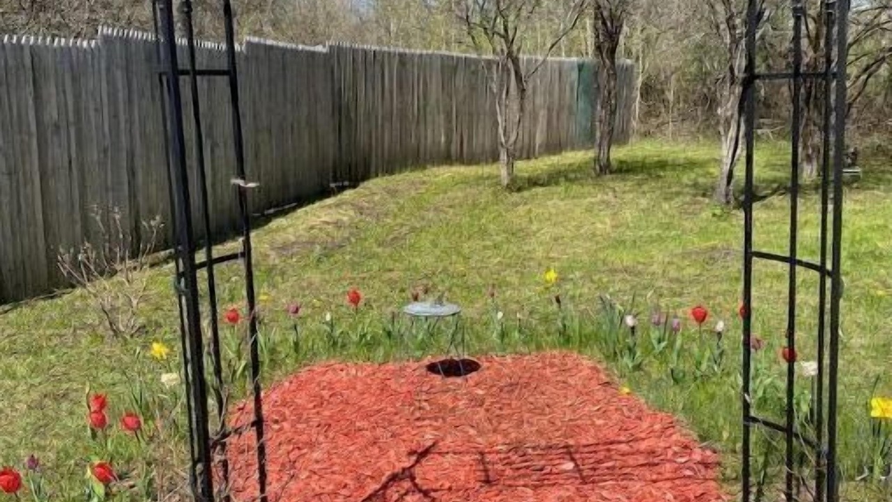 Photo of Outdoor in Norfolk