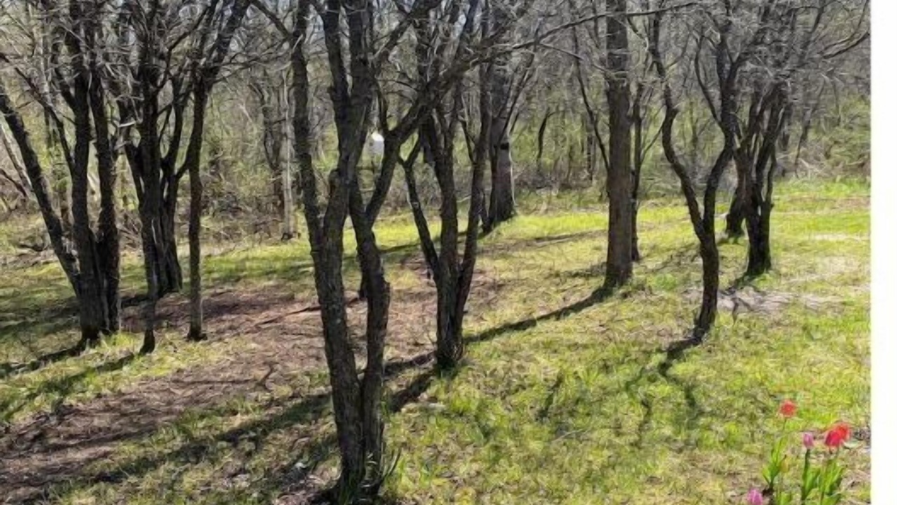 Photo of Outdoor in Norfolk