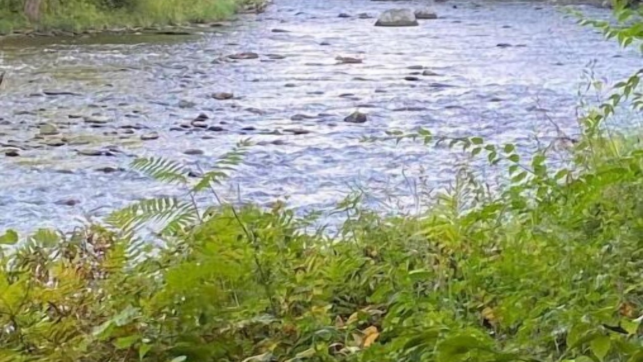Photo of Outdoor in Constable