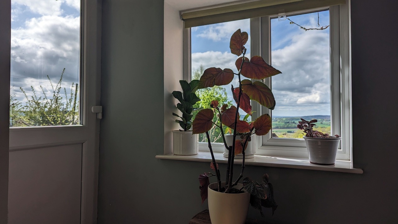 Photo of Others in Moreton