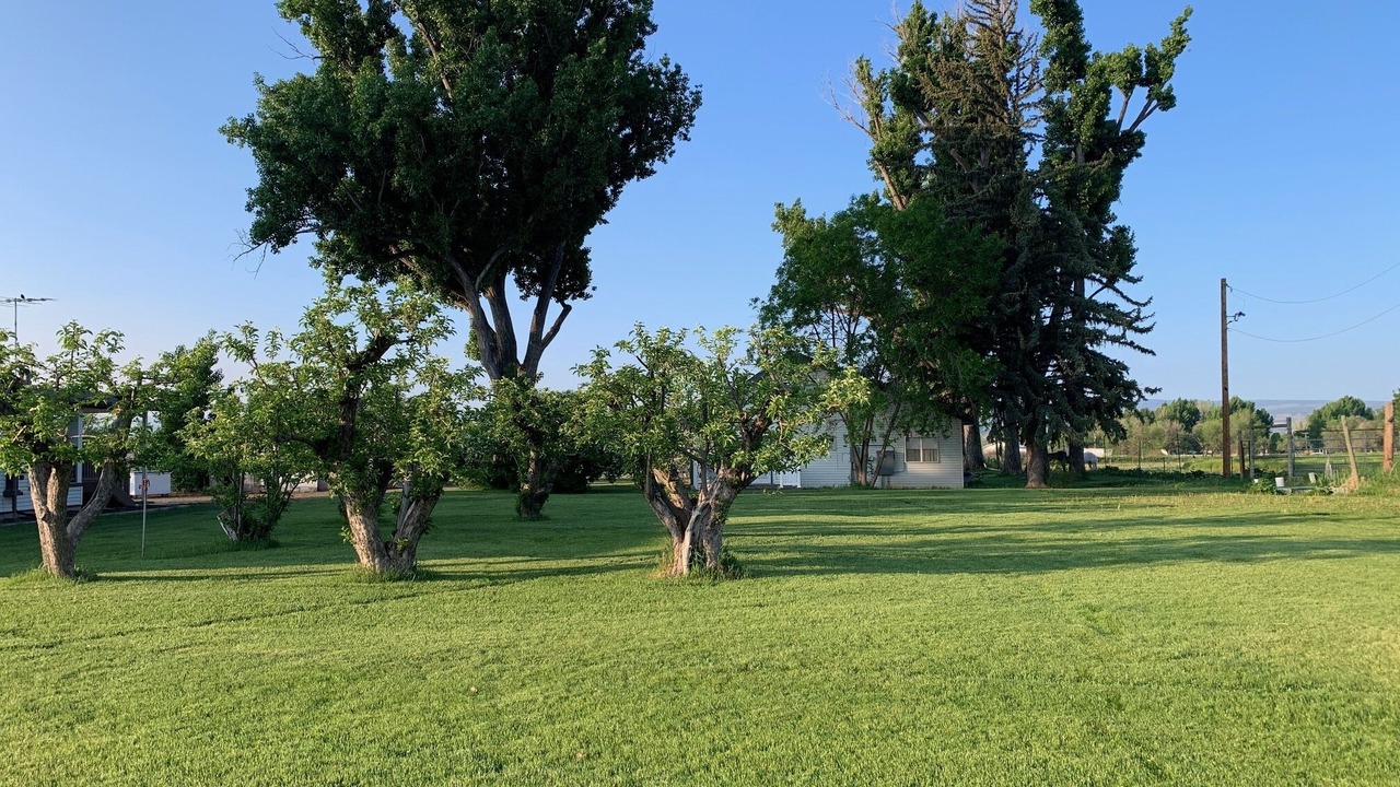 Photo of Outdoor in Hotchkiss