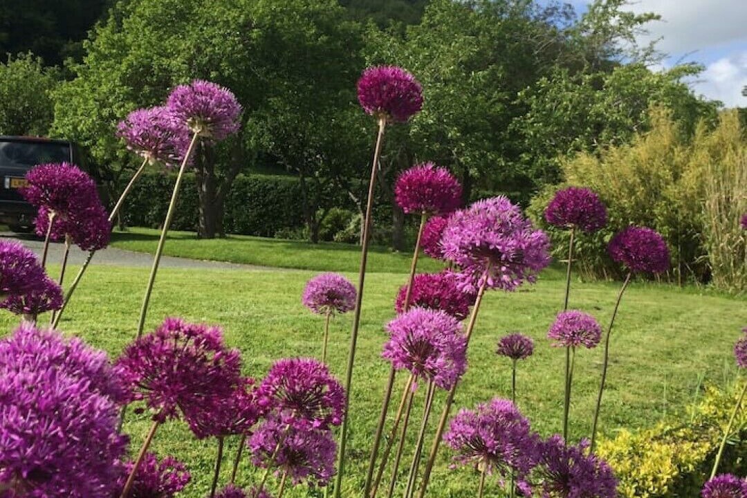 Photo of Outdoor in Guilsfield