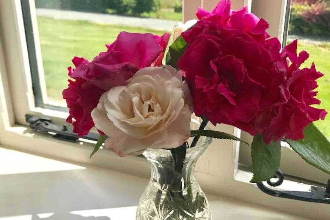 Photo of Others in Guilsfield