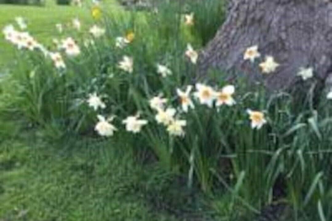 Photo of Outdoor in Guilsfield