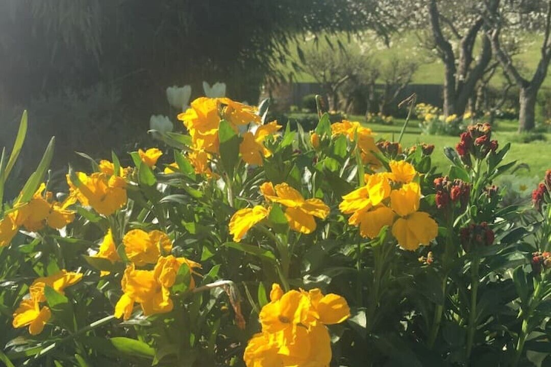 Photo of Outdoor in Guilsfield