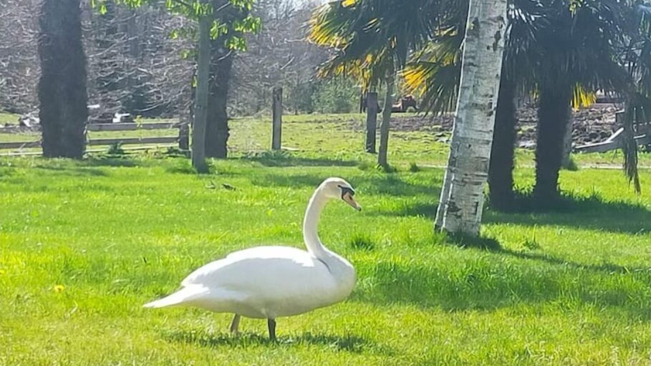 Photo of Outdoor in Miniac-Morvan