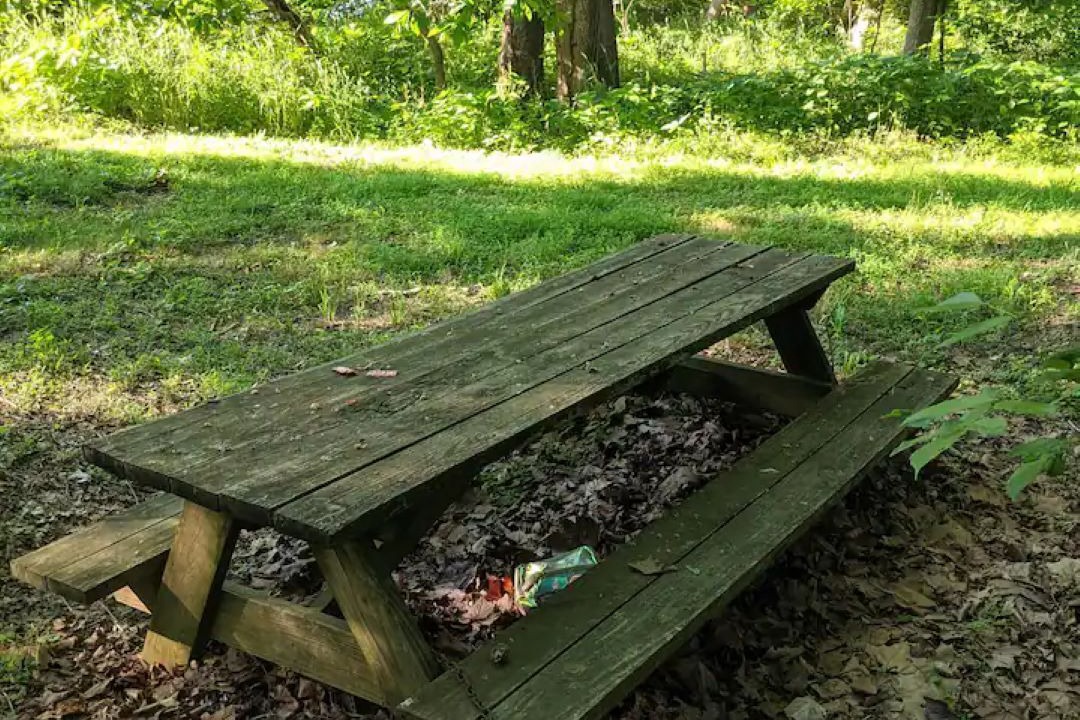 Photo of Outdoor in Gladstone