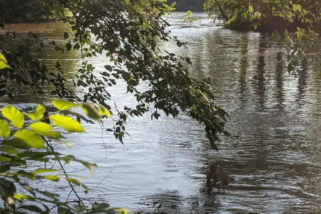 Photo of Others in Gladstone