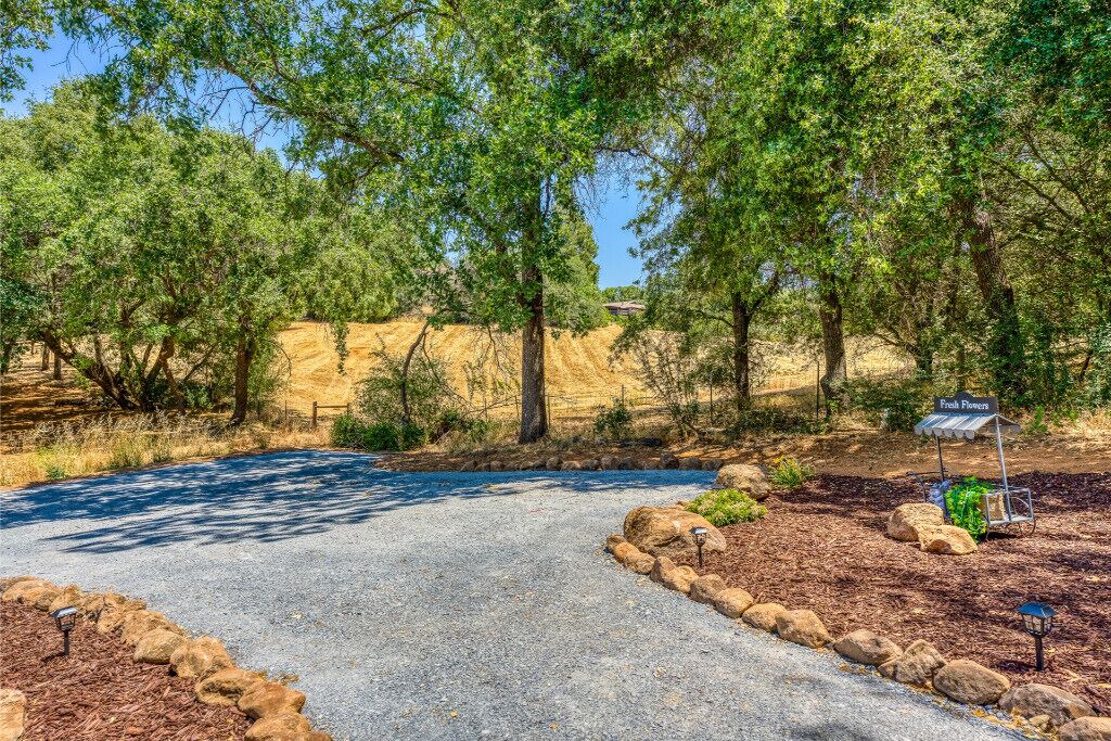 Photo of Outdoor in North Auburn