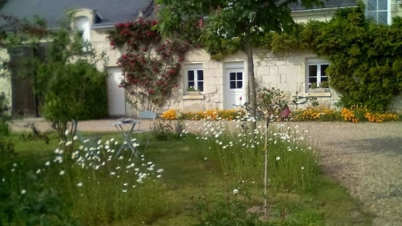 Photo of Outdoor in Savigny-en-Veron