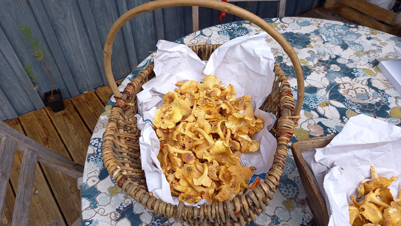 Photo of Others in Grand-Vabre