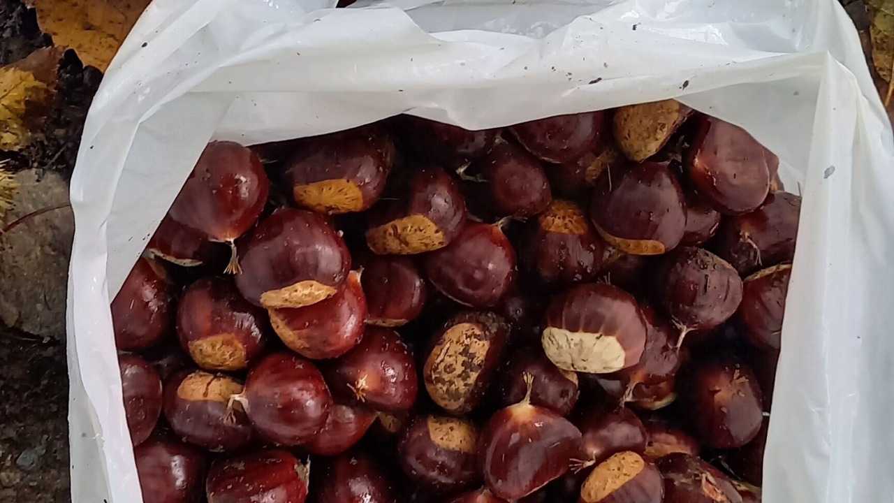 Photo of Others in Grand-Vabre