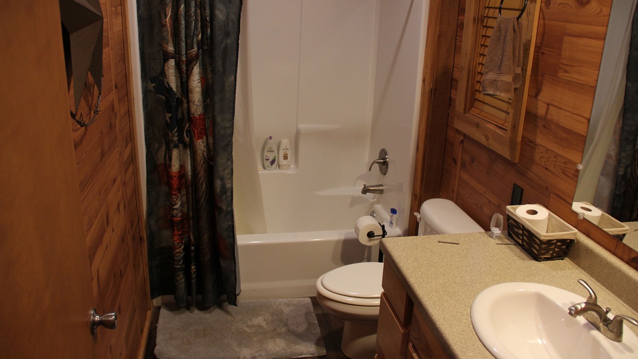 Photo of Bathroom in Piney Woods