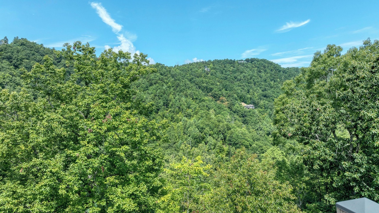 Photo of Others in Townsend