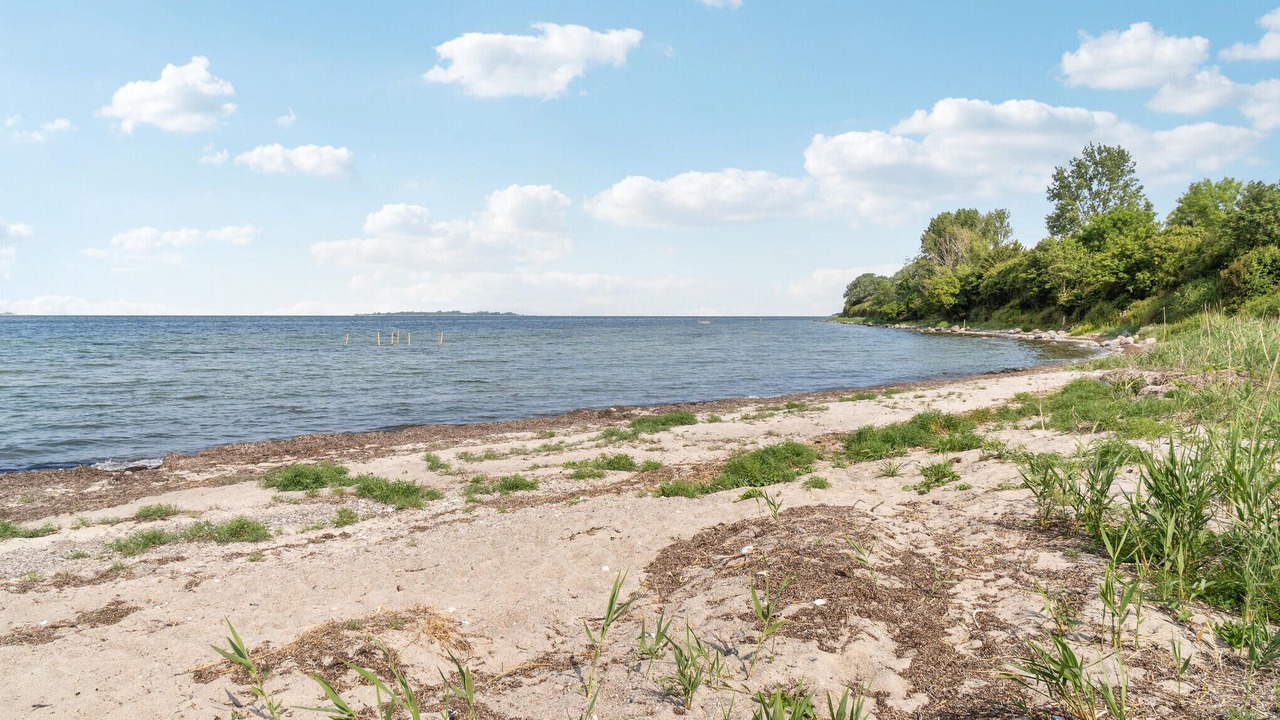 Photo of Others in Fej