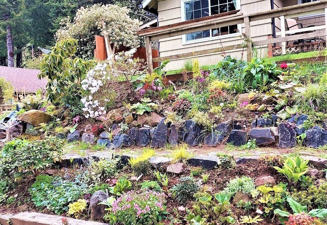 Photo of Outdoor in Westlake