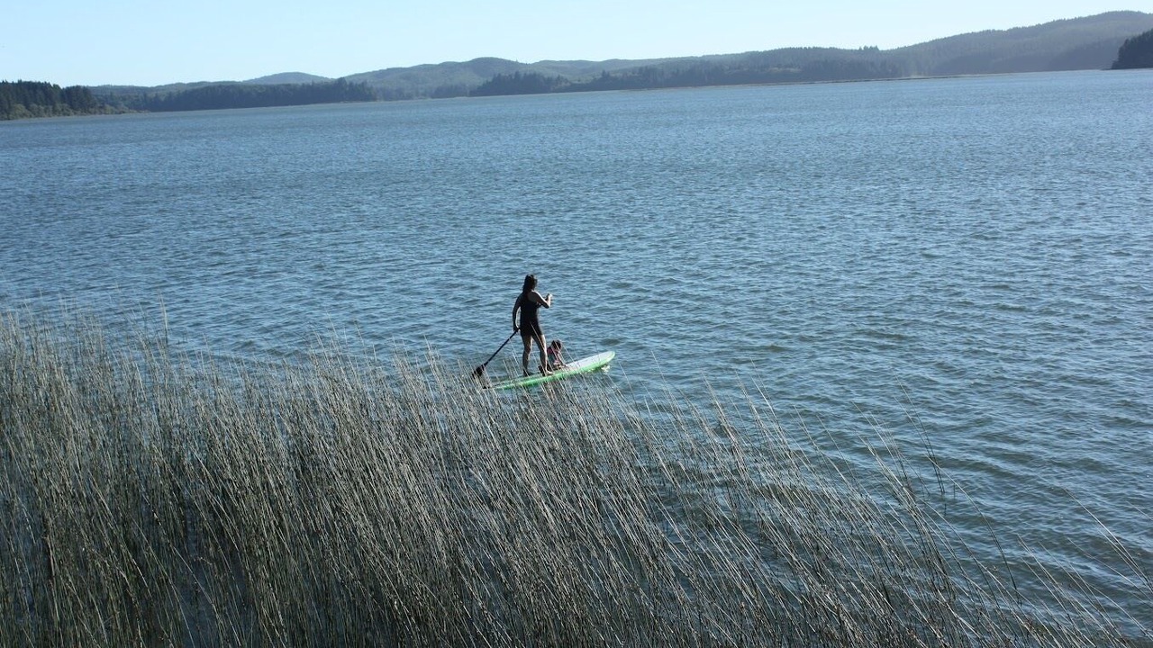 Photo of Others in Westlake