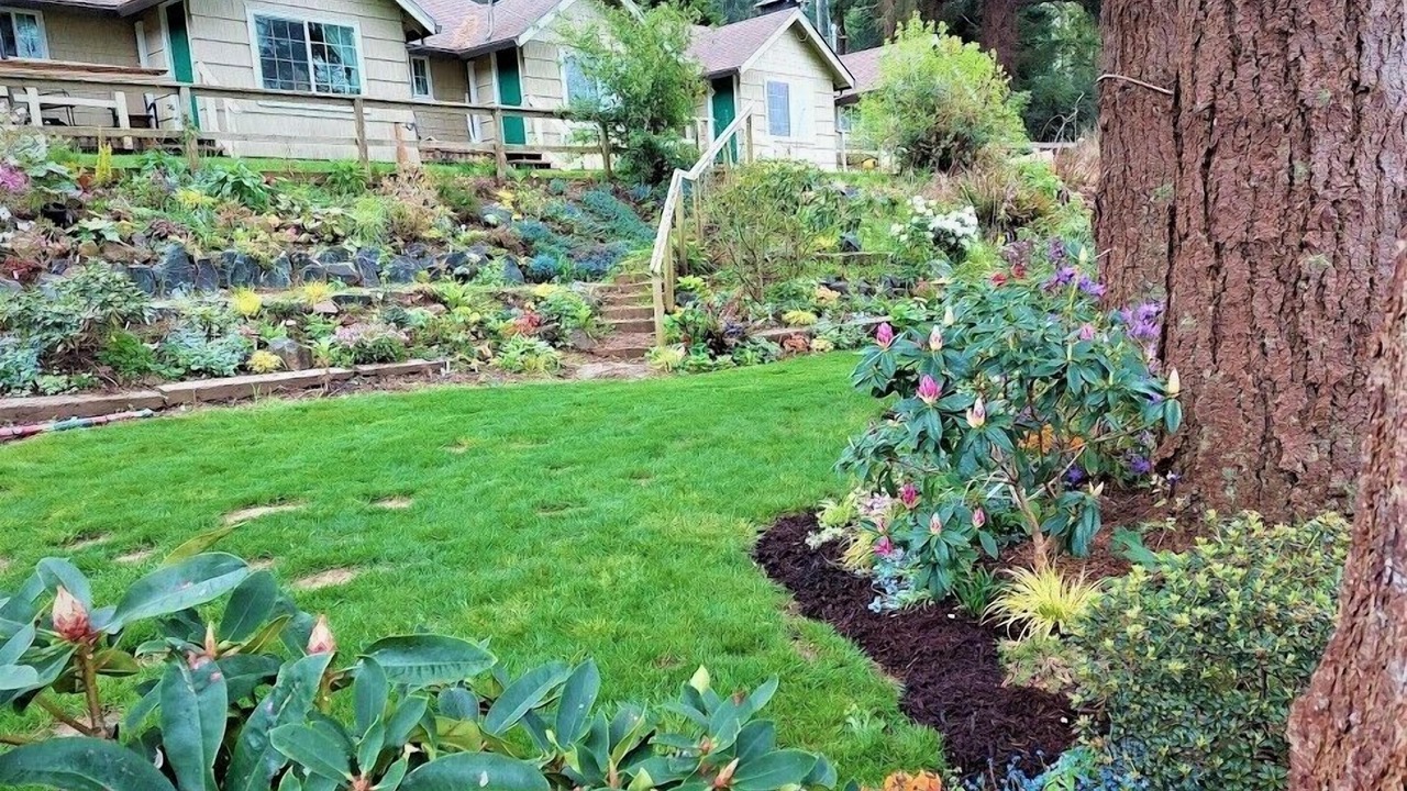 Photo of Outdoor in Westlake