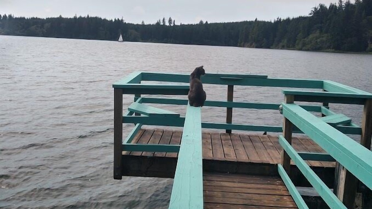 Photo of Others in Westlake