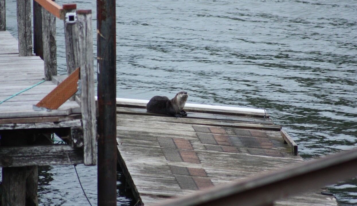 Photo of Outdoor in Westlake