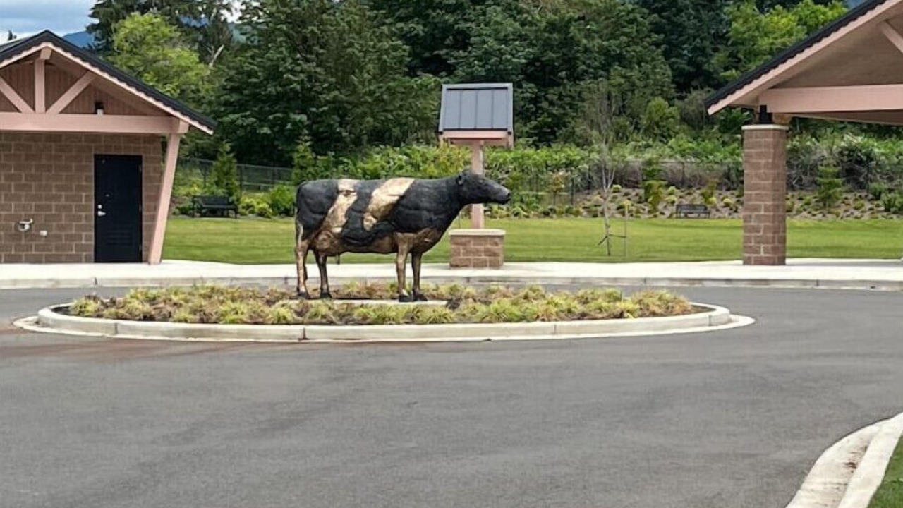 Photo of Outdoor in Enumclaw