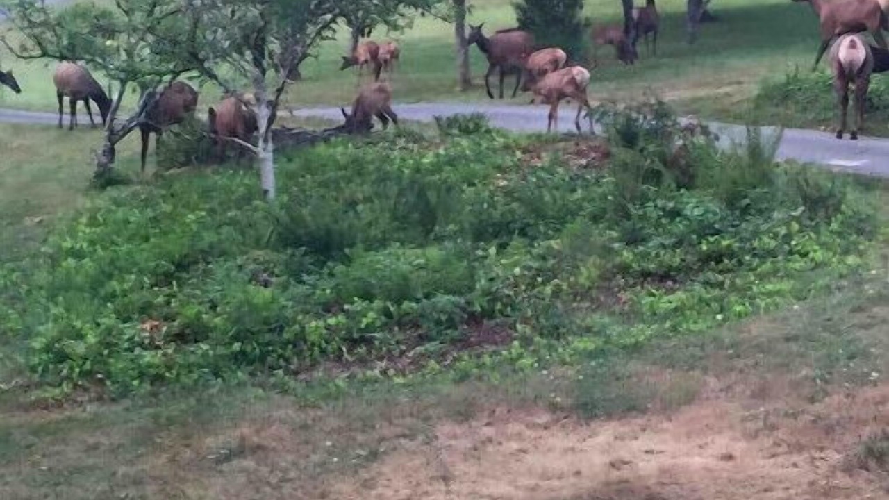 Photo of Outdoor in Hobart