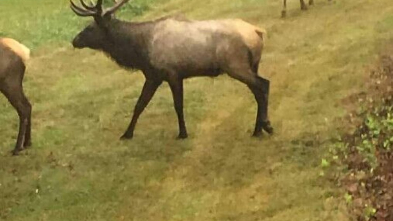 Photo of Others in Hobart