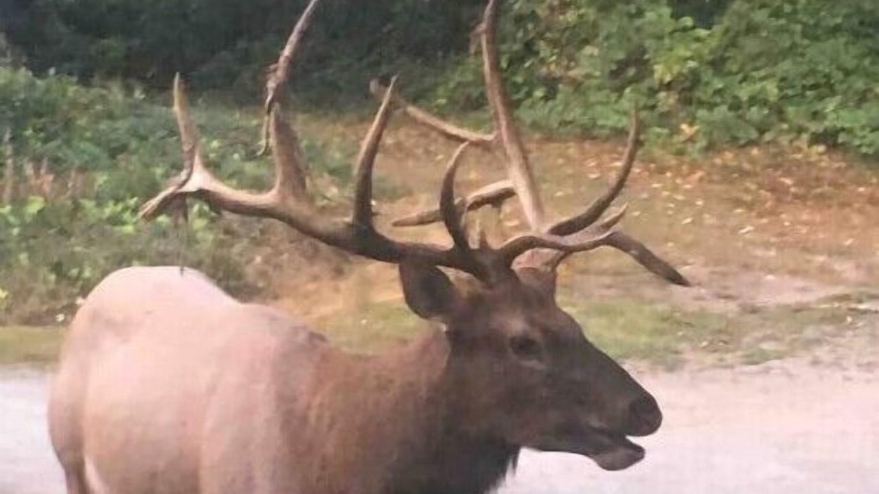 Photo of Outdoor in Hobart