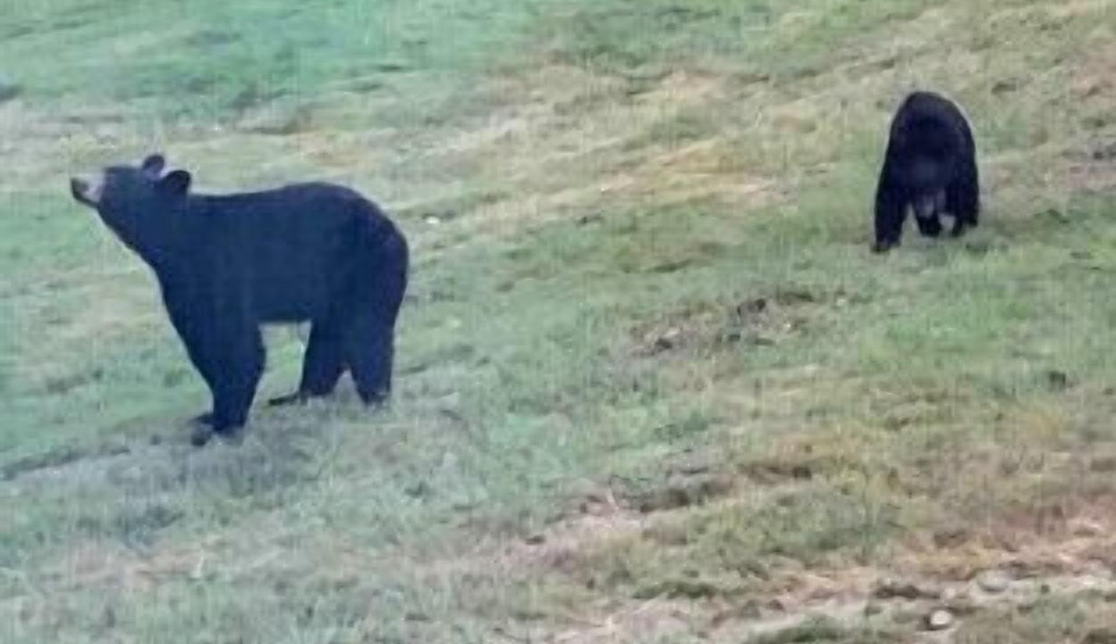 Photo of Outdoor in Hobart