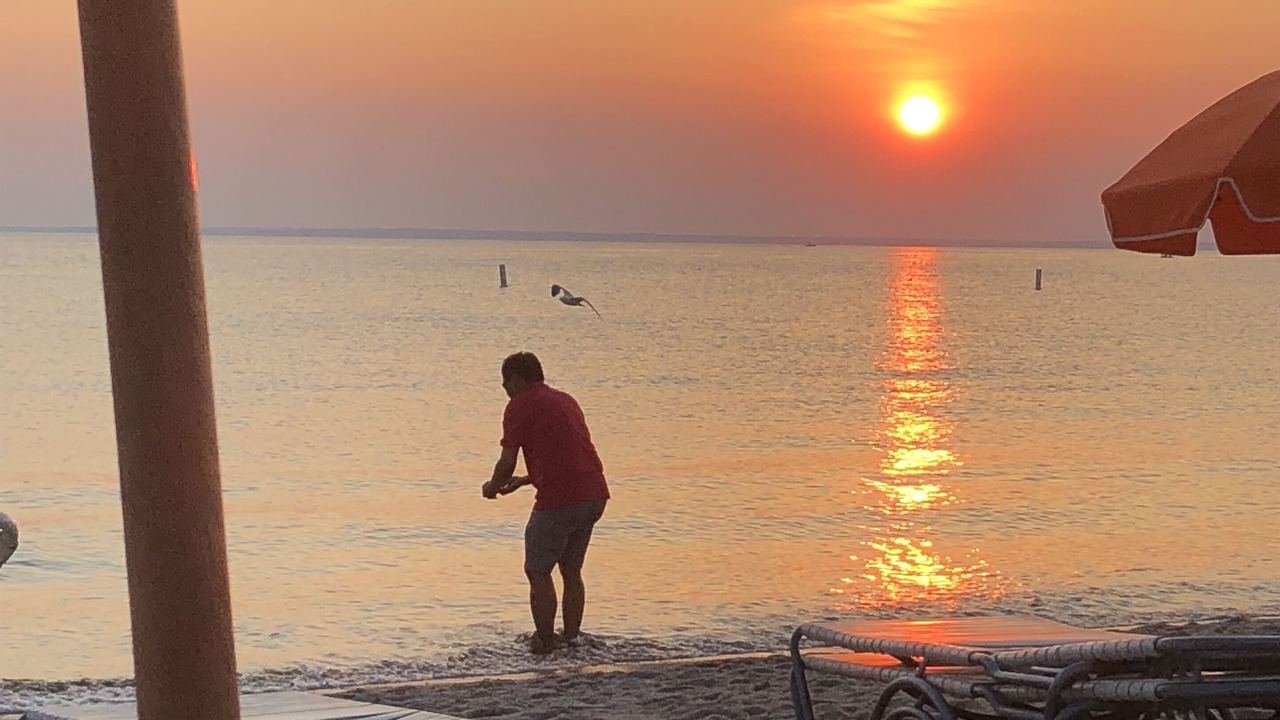 Photo of Others in West Falmouth