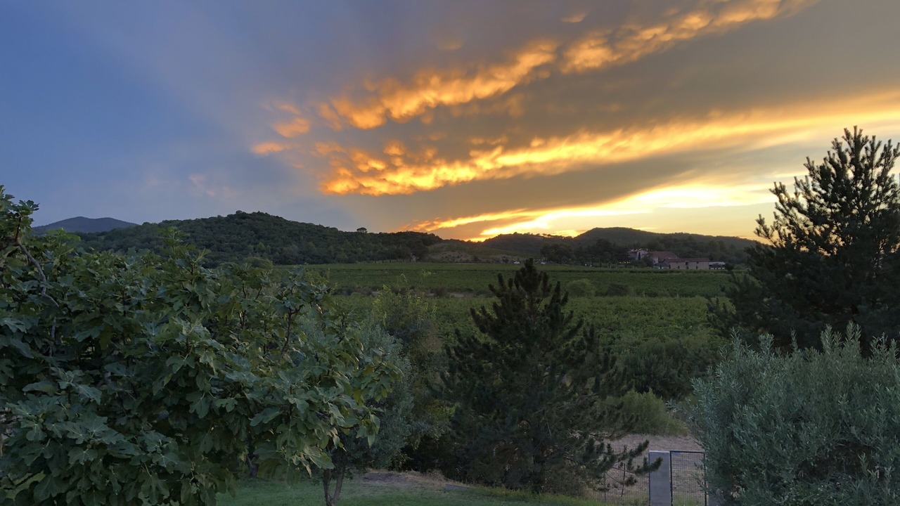 Photo of Outdoor in Castelnou
