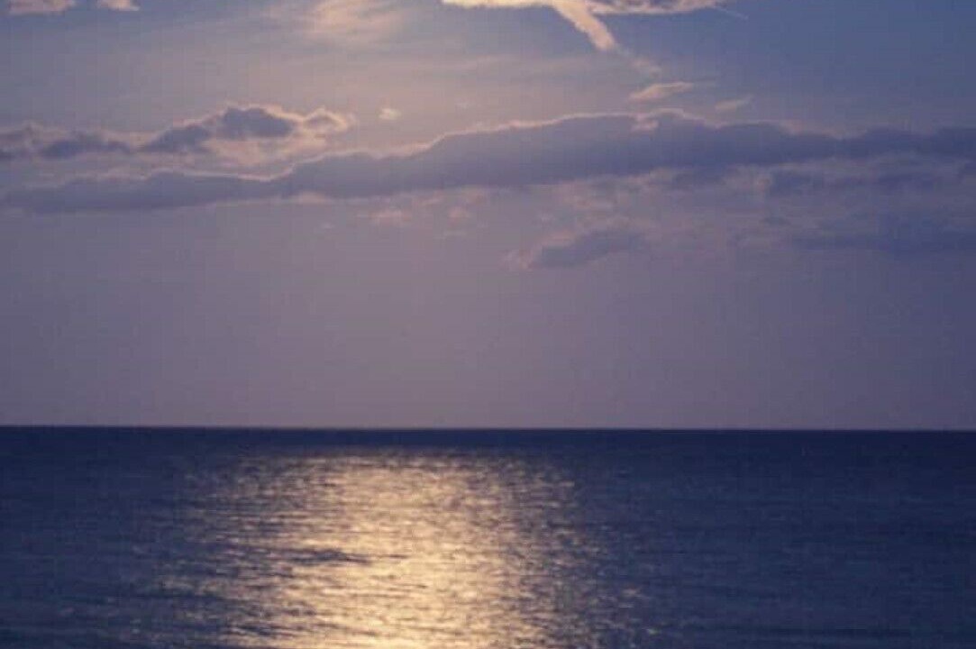 Photo of Others in Selsey