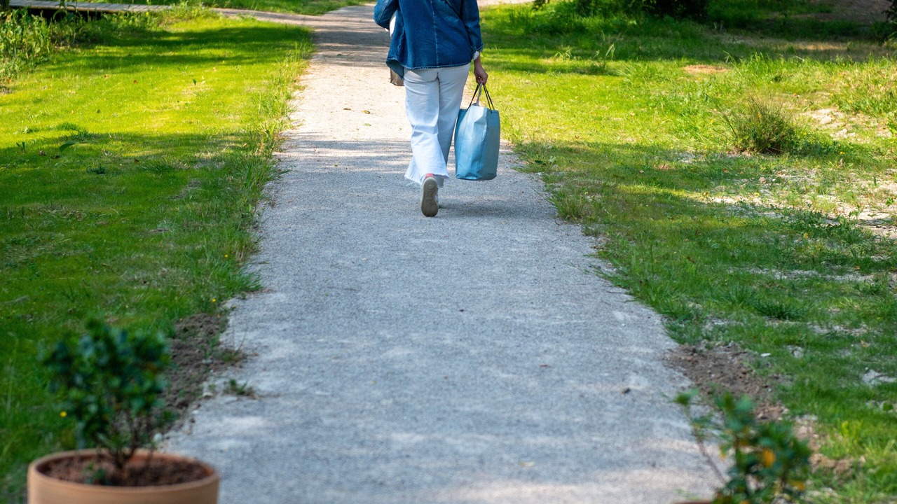 Photo of Others in Ponts-et-Marais