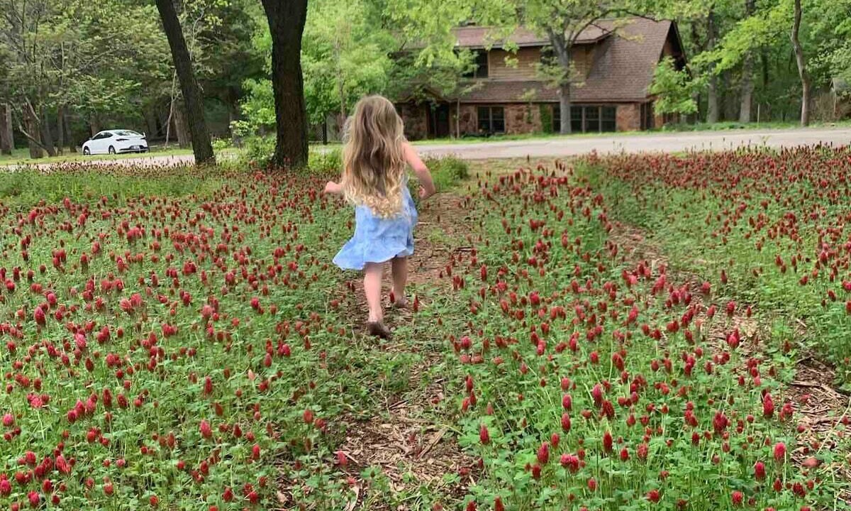 Photo of Outdoor in Edmond