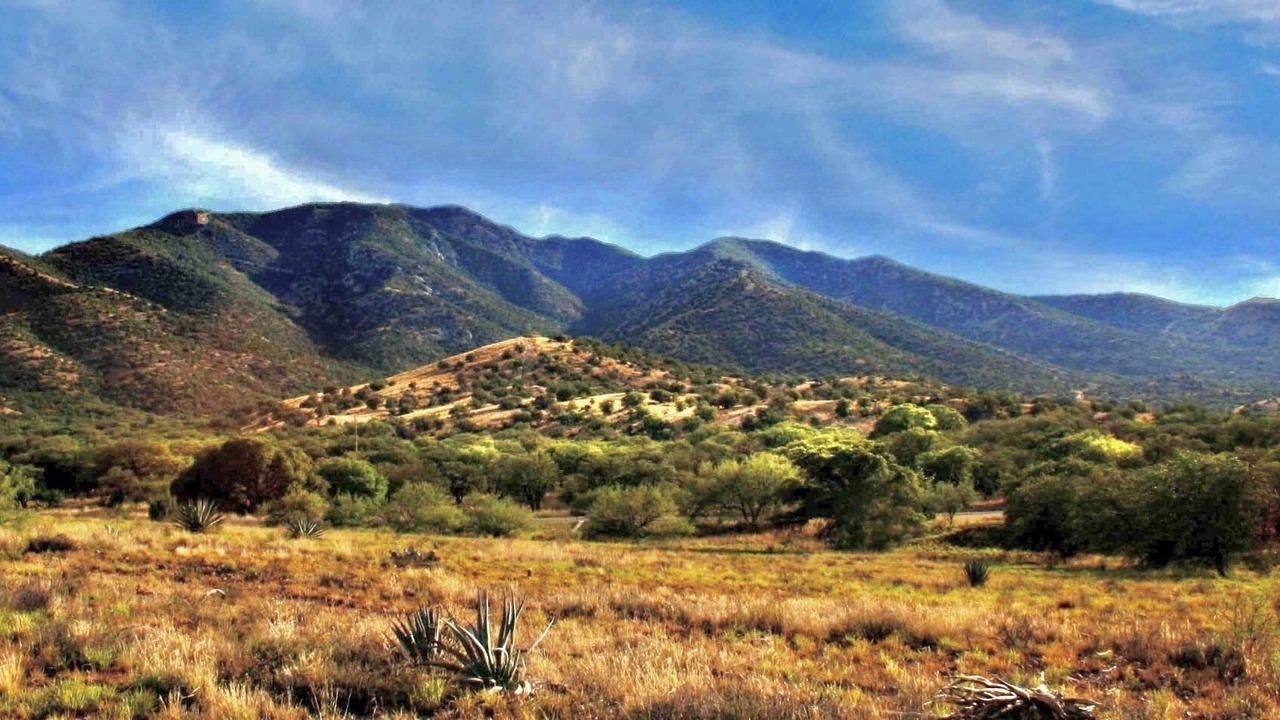 Photo of Outdoor in Sierra Vista