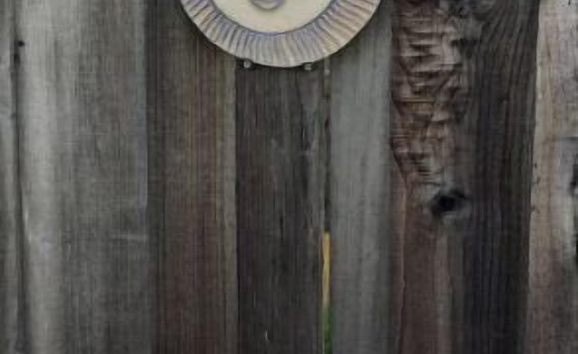 Photo of Others in Tamalpais-Homestead Valley