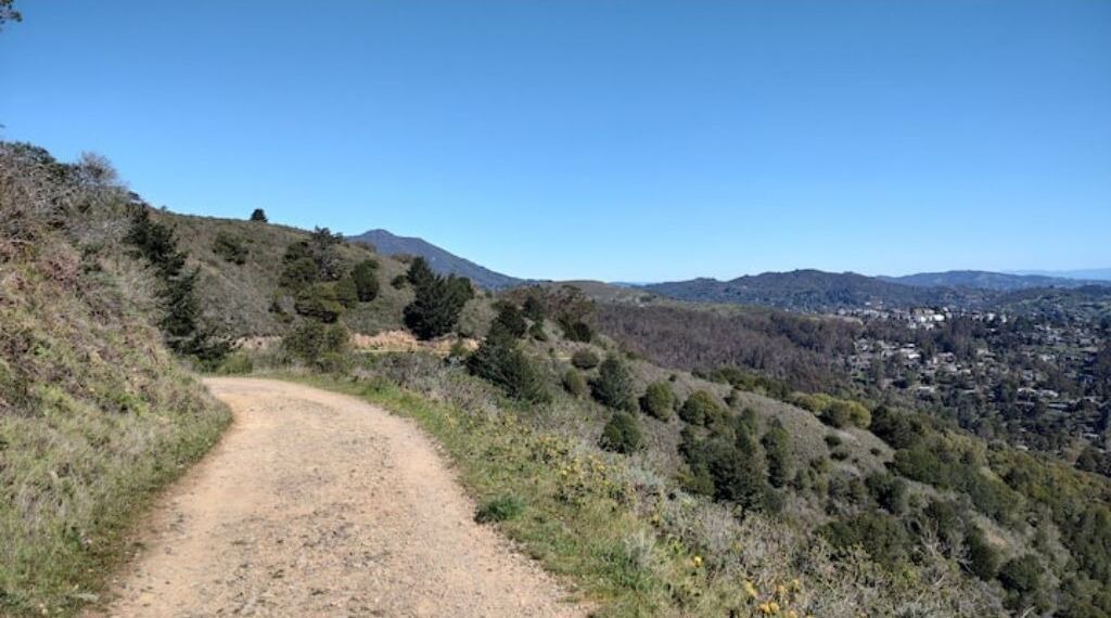 Photo of Outdoor in Tamalpais-Homestead Valley