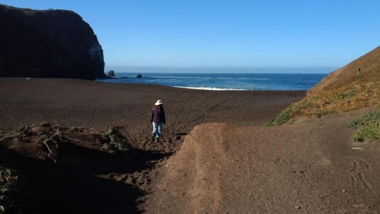 Photo of Others in Tamalpais-Homestead Valley