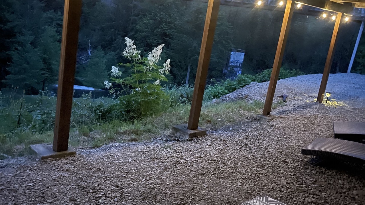 Photo of Others in King County