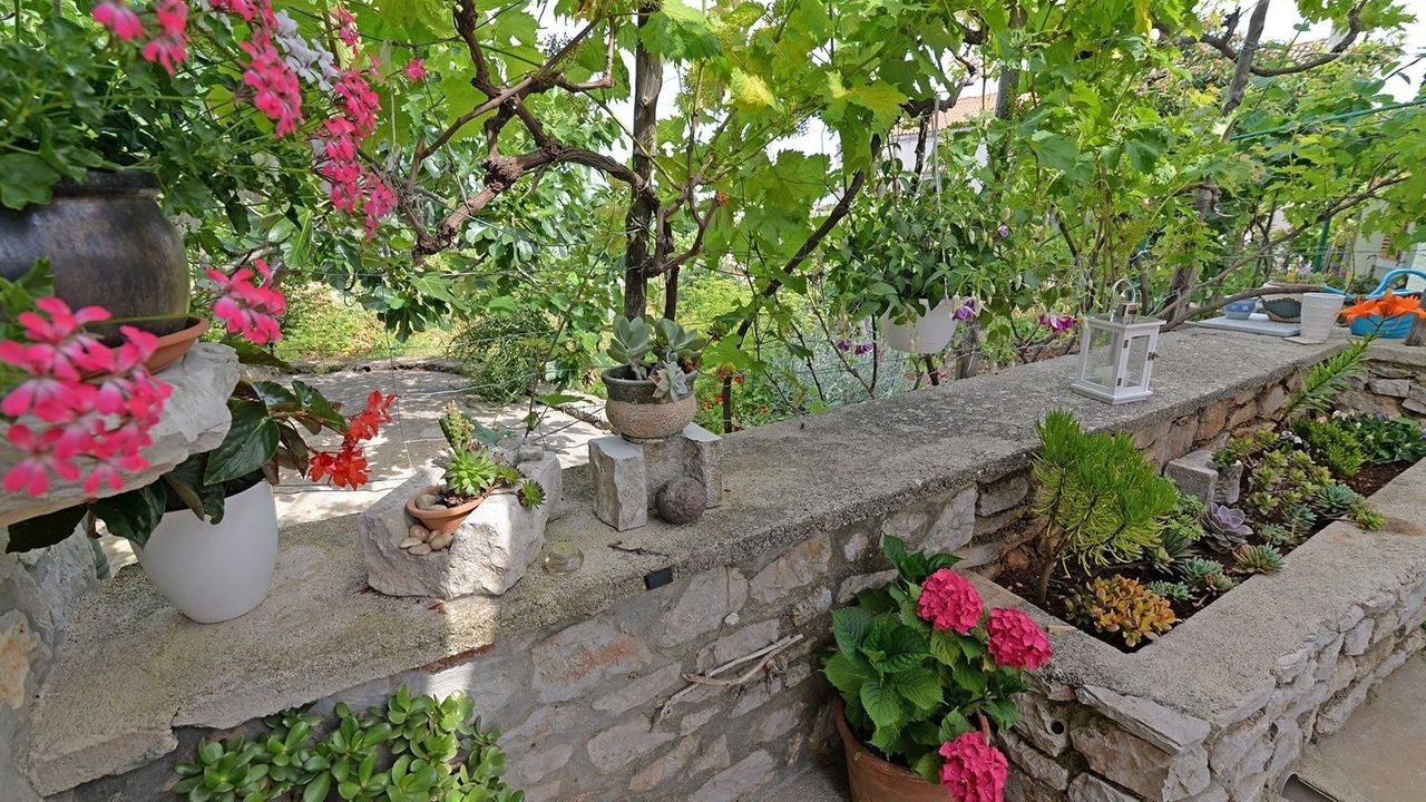 Photo of Outdoor in Veli Losinj