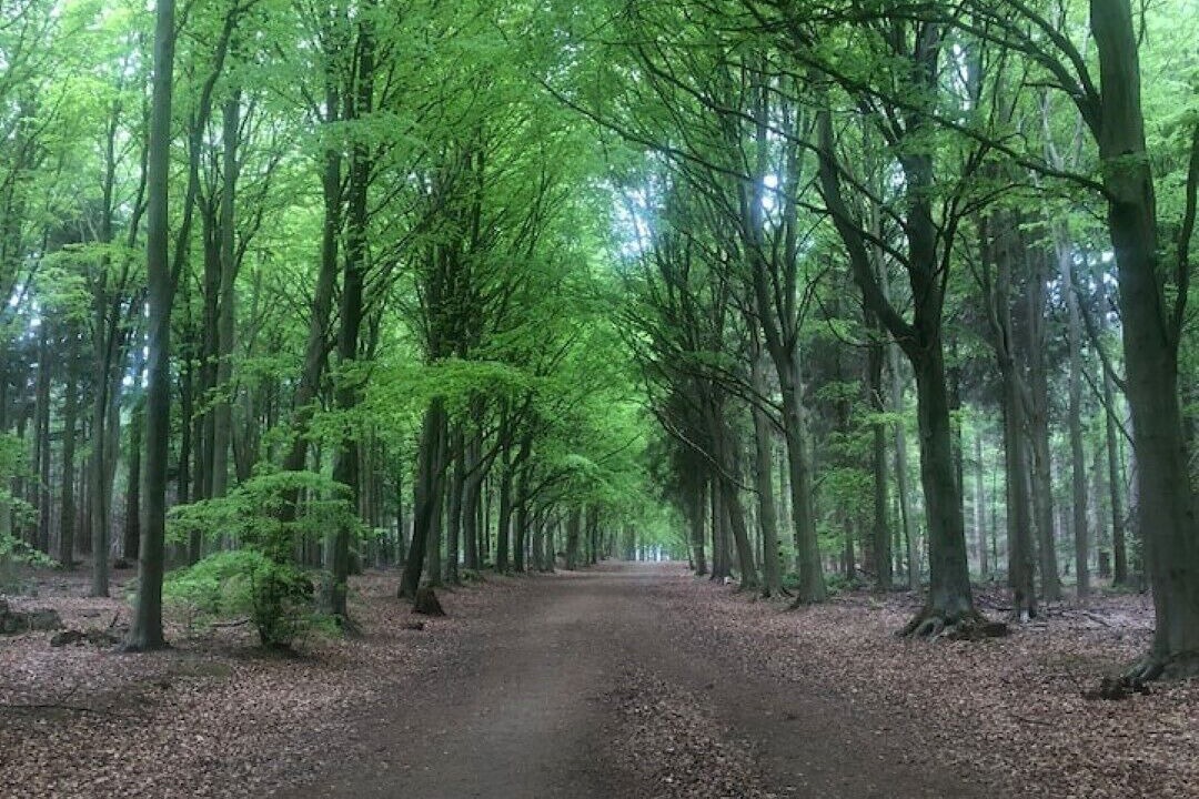 Photo of Outdoor in North Walsham