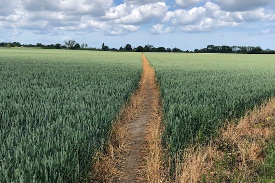 Photo of Outdoor in North Walsham