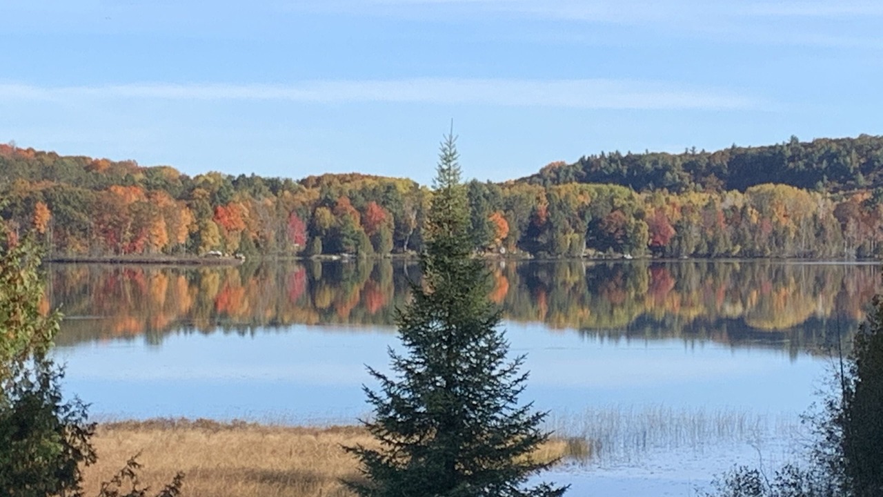 Photo of Others in La Peche