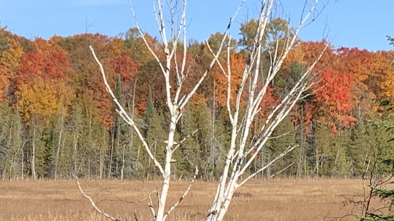 Photo of Others in La Peche